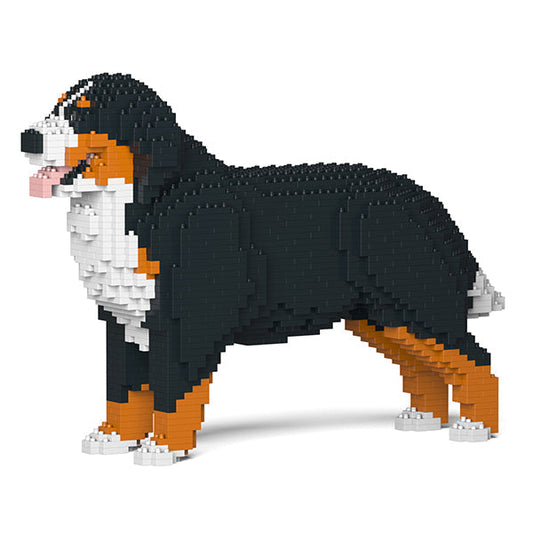 Bernese Mountain Dog