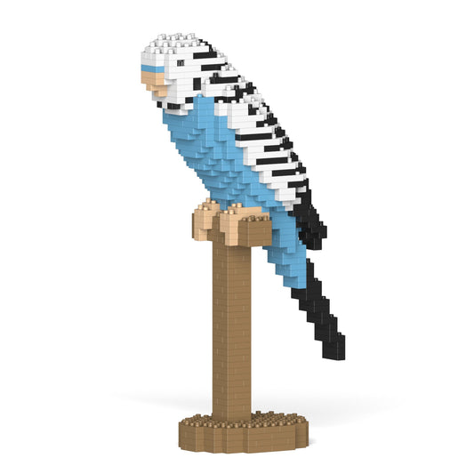 Budgie