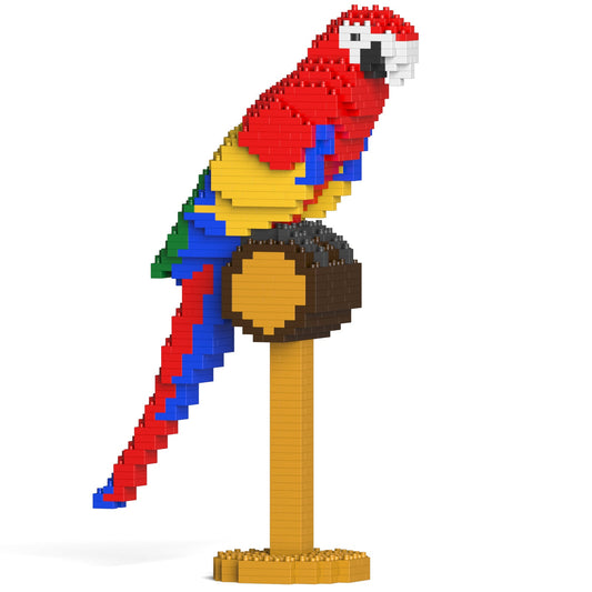 Macaw