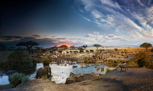 Serengeti National Park, Tanzania